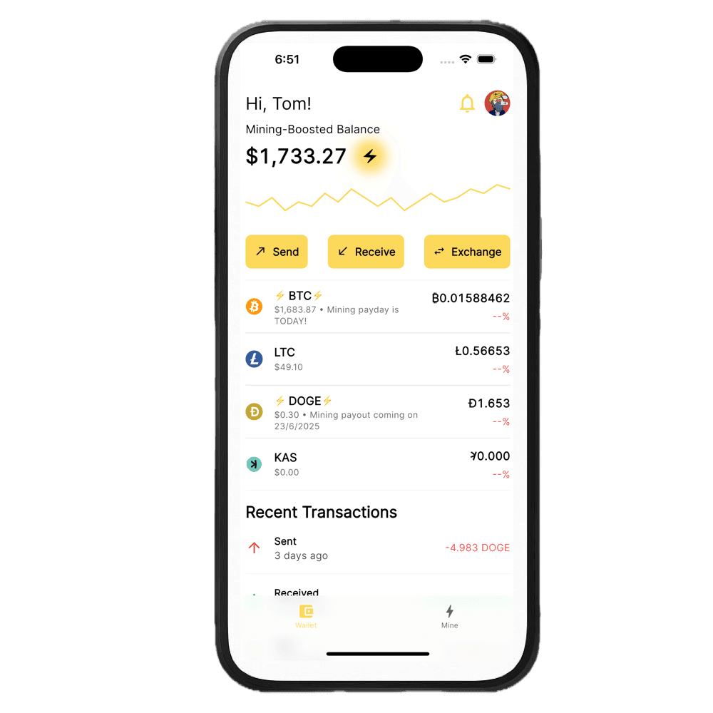 Get Daily Mining Payouts